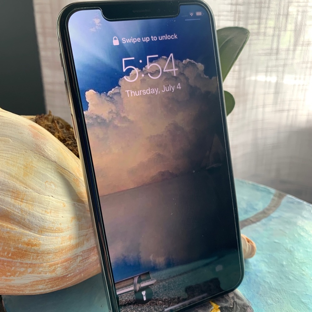 iPhone X 256 Gb